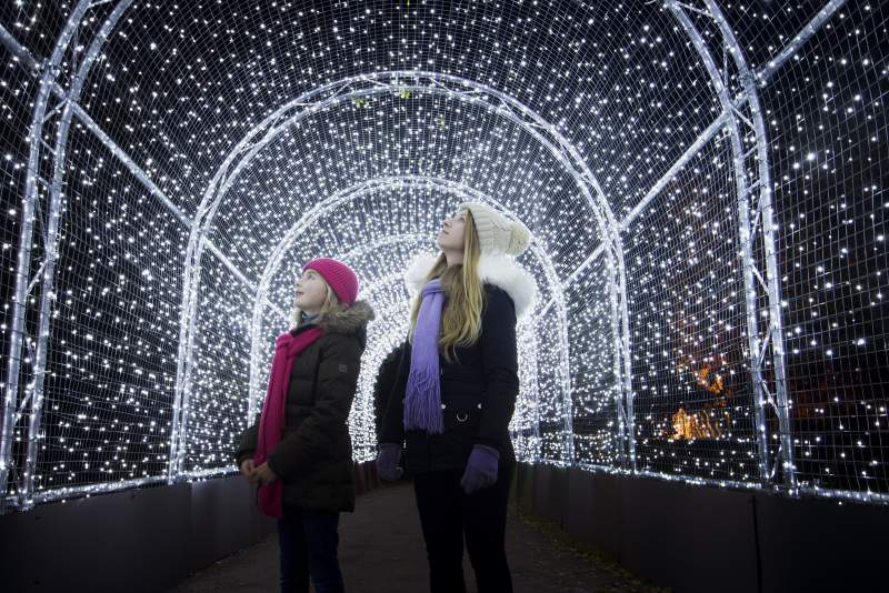 Want a magical Christmas experience? Look no further than Kew Gardens