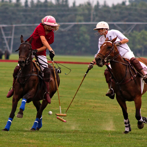 attractions near heathrow airport - polo